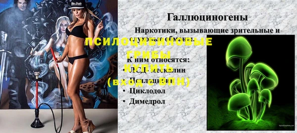 PSILOCYBIN Богородск